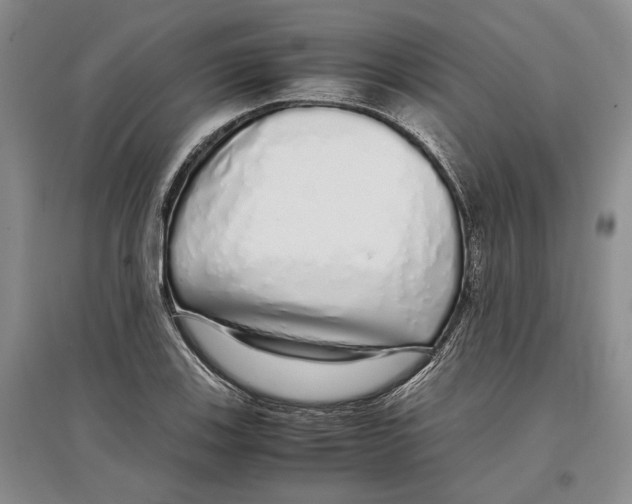 X0000097301123200803141526