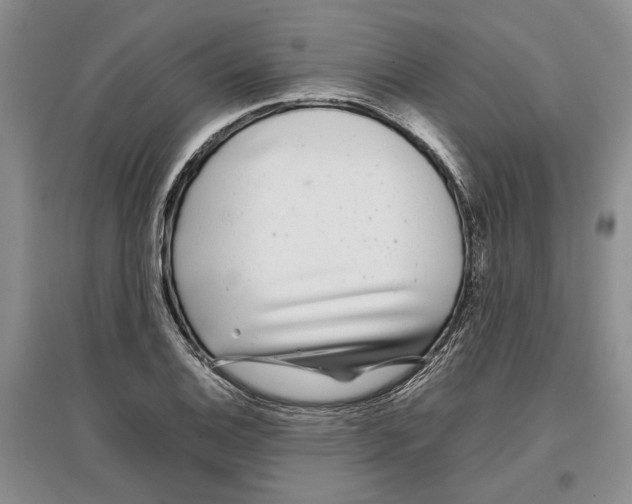 X0000097301124200803141526