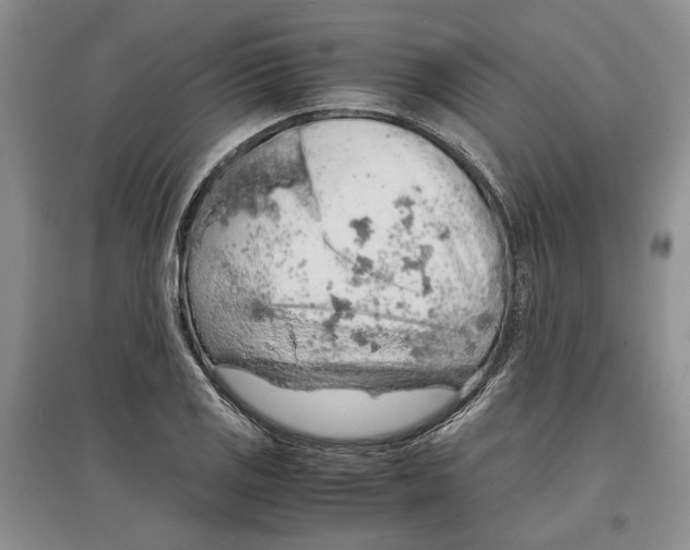 X0000097301125200803141526