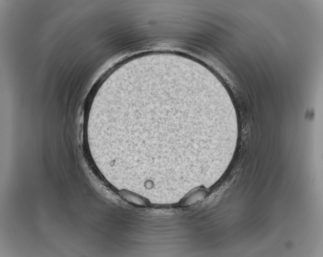 X0000097301126200803141526