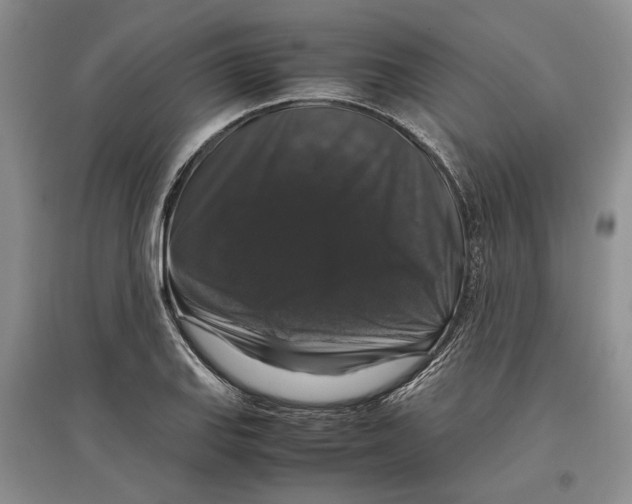 X0000097301127200803141526