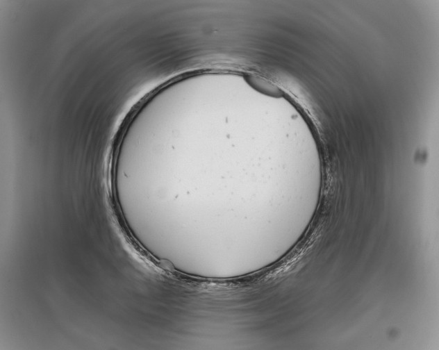 X0000097301128200803141526