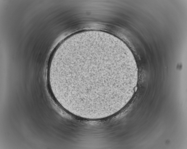 X0000097301130200803141526