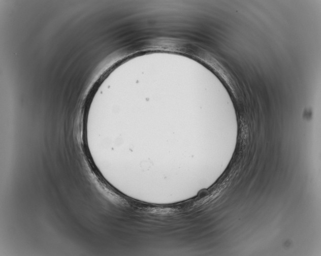 X0000097301131200803141526
