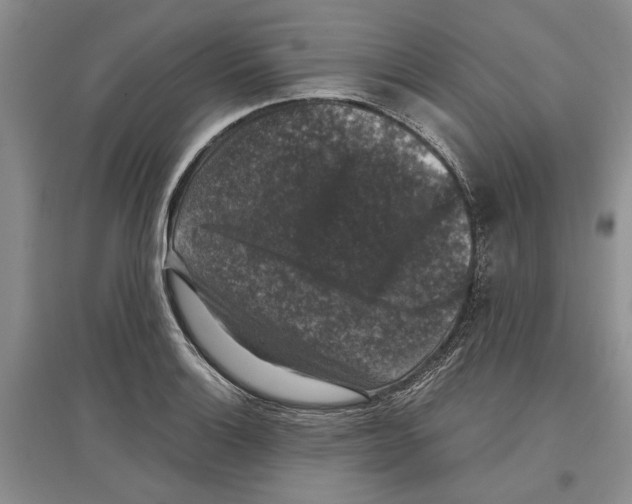 X0000097301132200803141526
