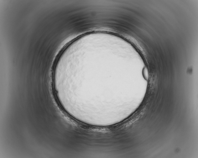 X0000097301133200803141526