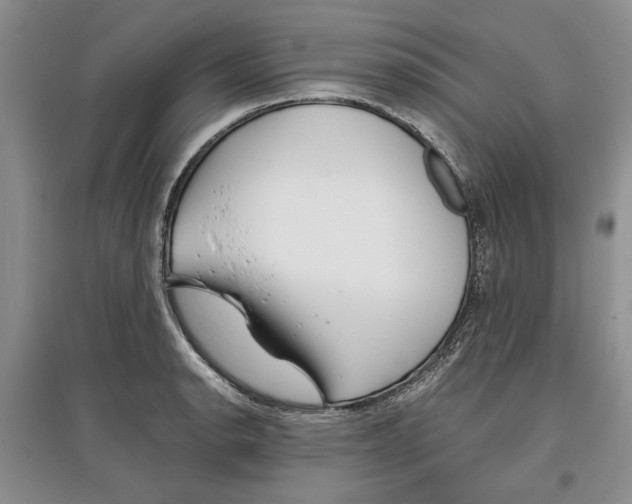 X0000097301134200803141526