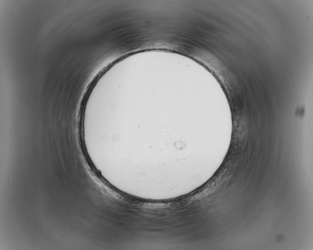 X0000097301135200803141526