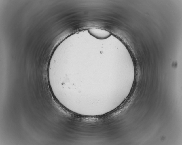 X0000097301137200803141526