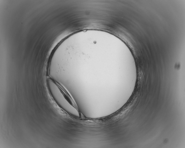 X0000097301138200803141526