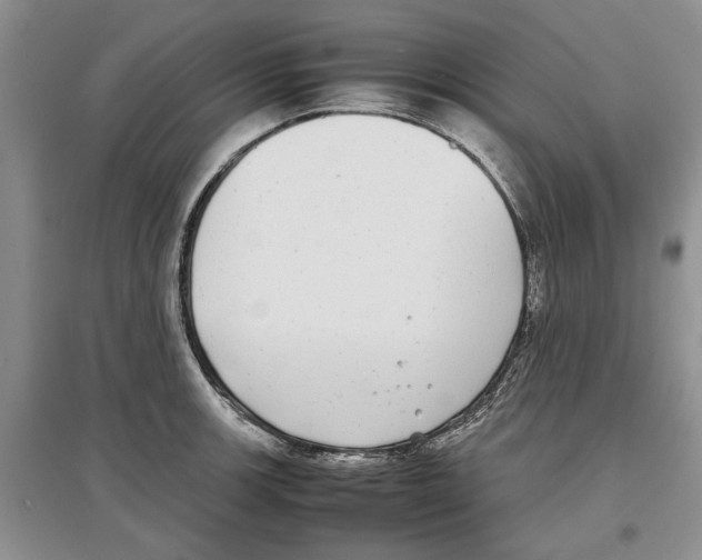 X0000097301139200803141526