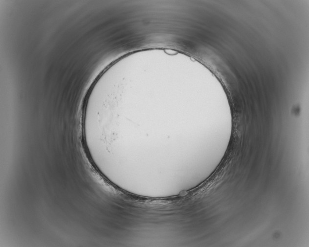 X0000097301140200803141526