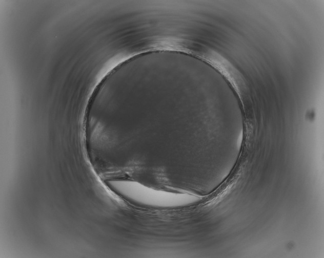 X0000097301141200803141526