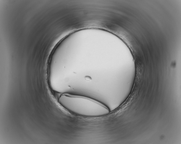 X0000097301142200803141526