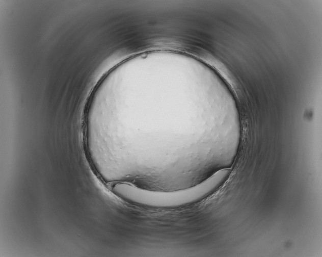 X0000097301143200803141526