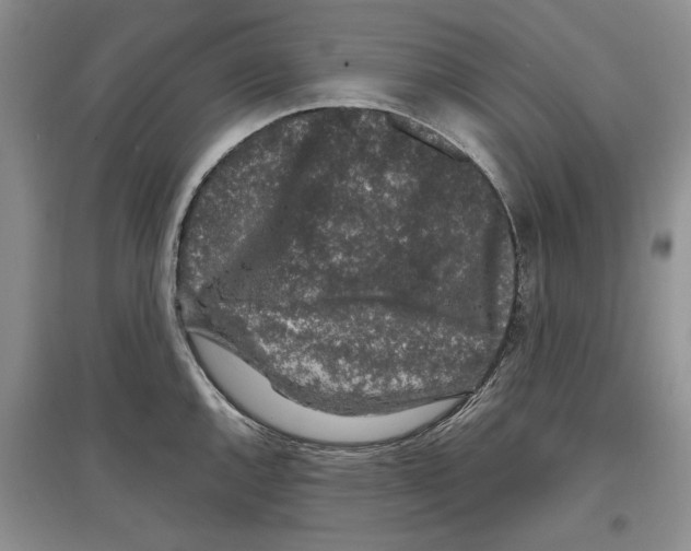 X0000097301144200803141526