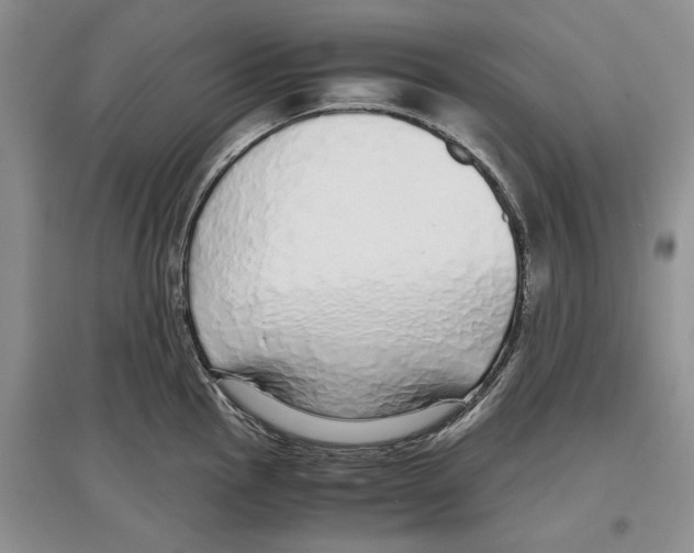 X0000097301145200803141526