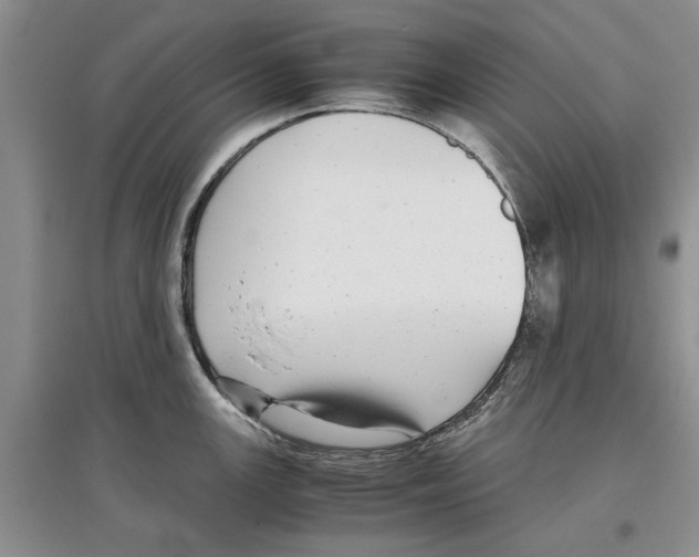X0000097301147200803141526