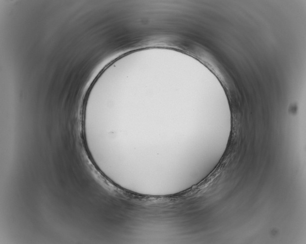 X0000097301148200803141526