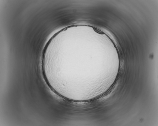 X0000097301149200803141527