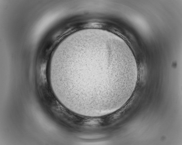 X0000097301150200803141527