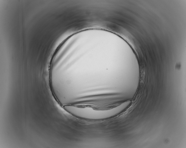 X0000097301151200803141527