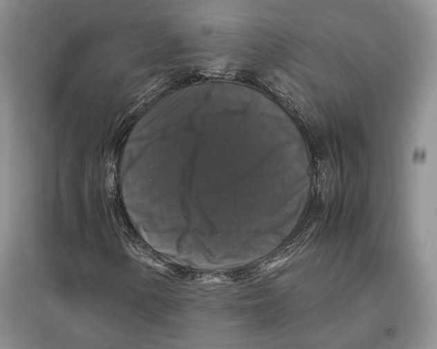 X0000097301154200803141526