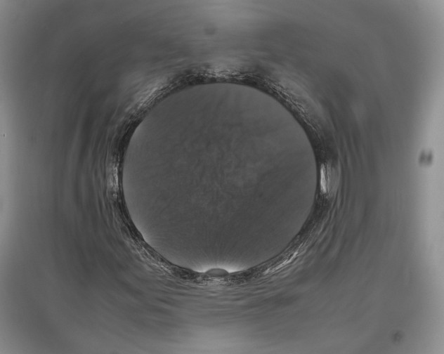 X0000097301155200803141526