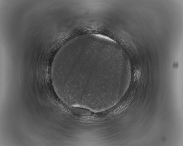 X0000097301156200803141526