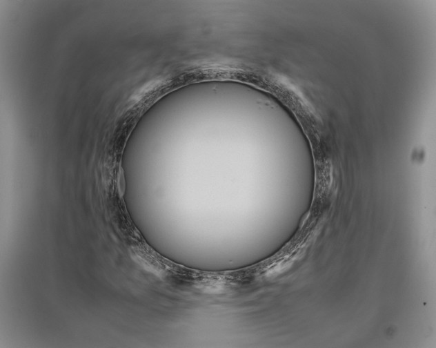 X0000097301157200803141526