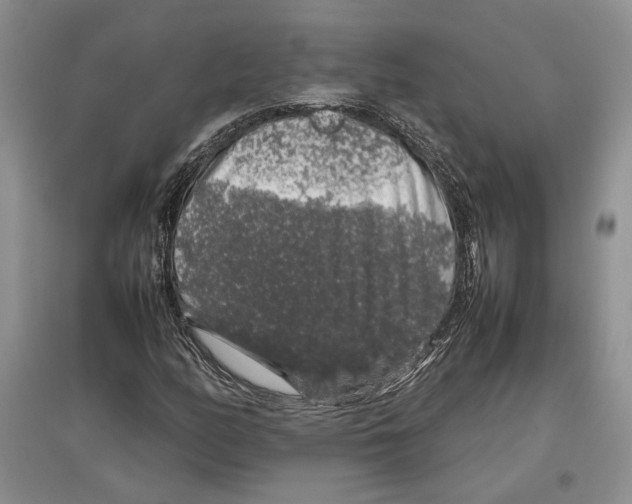 X0000097301158200803141526