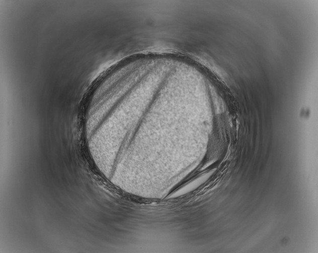 X0000097301160200803141526