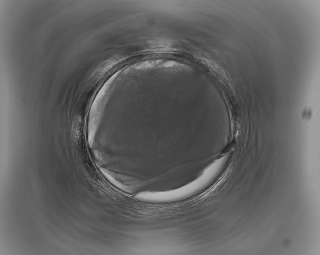 X0000097301161200803141526