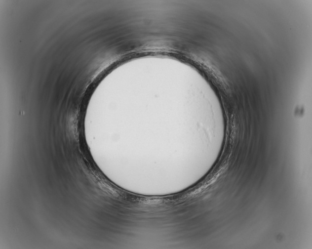 X0000097301162200803141526