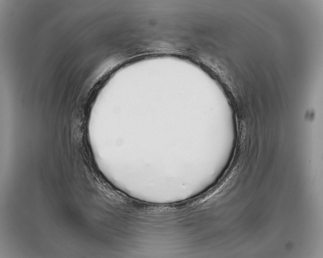 X0000097301163200803141526