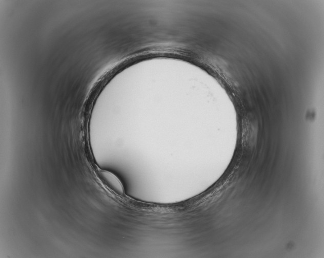 X0000097301164200803141526