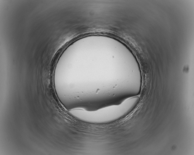 X0000097301165200803141526