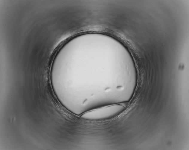 X0000097301166200803141526