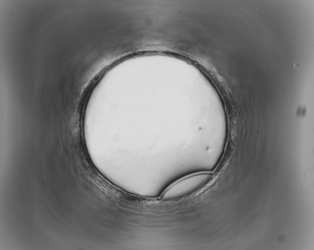 X0000097301167200803141526