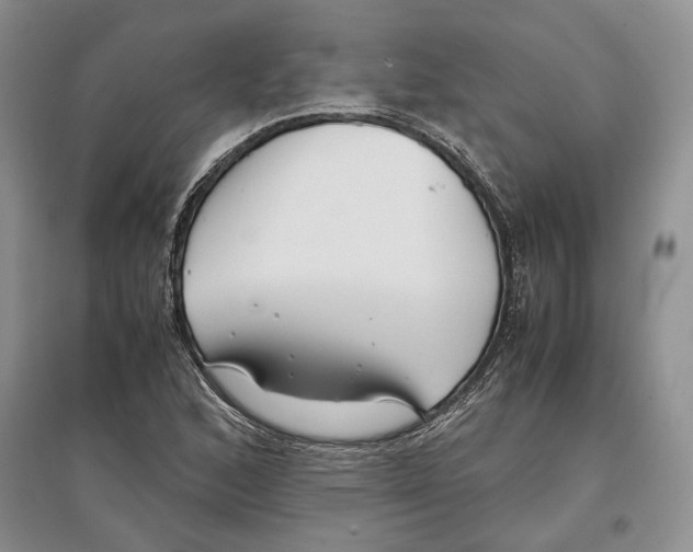 X0000097301168200803141526