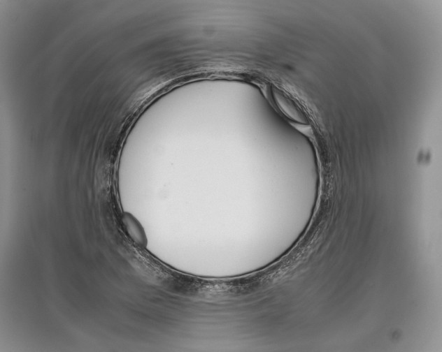 X0000097301169200803141526