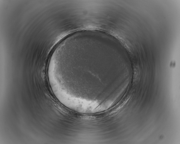 X0000097301170200803141526