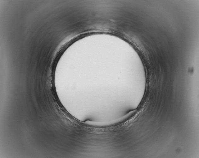 X0000097301172200803141526