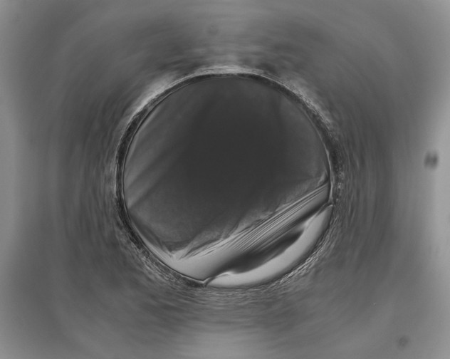 X0000097301173200803141526