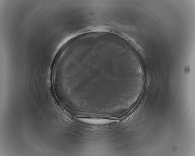 X0000097301174200803141526