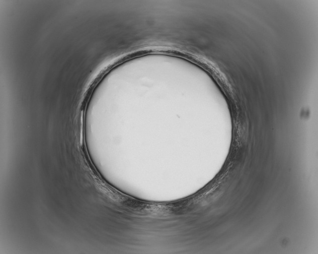 X0000097301175200803141526