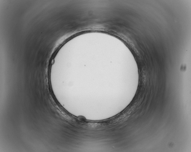 X0000097301176200803141526