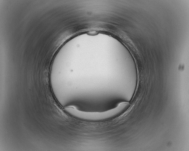 X0000097301177200803141526