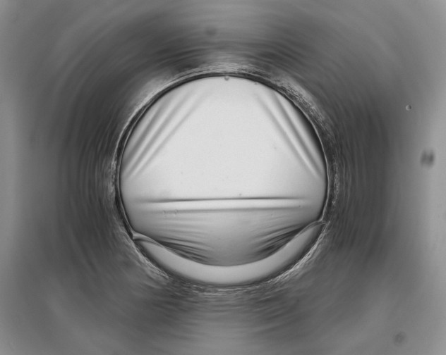 X0000097301178200803141526