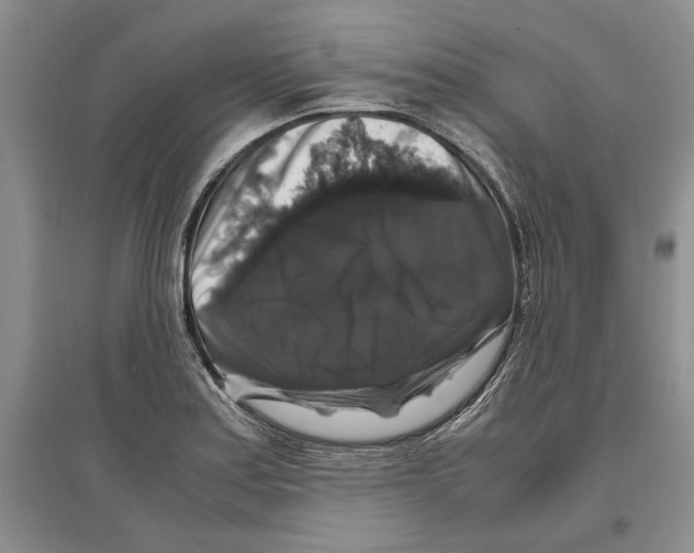 X0000097301179200803141526
